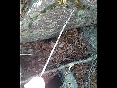 Pissing In The Forest